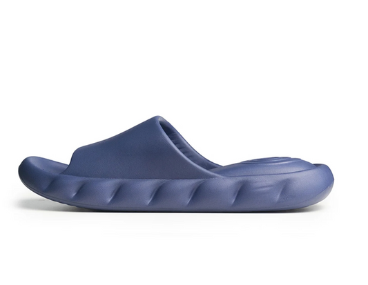 Slides